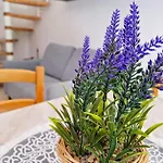 Chandra House Tatil Evi