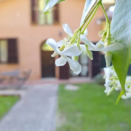 Chandra House Tatil Evi *